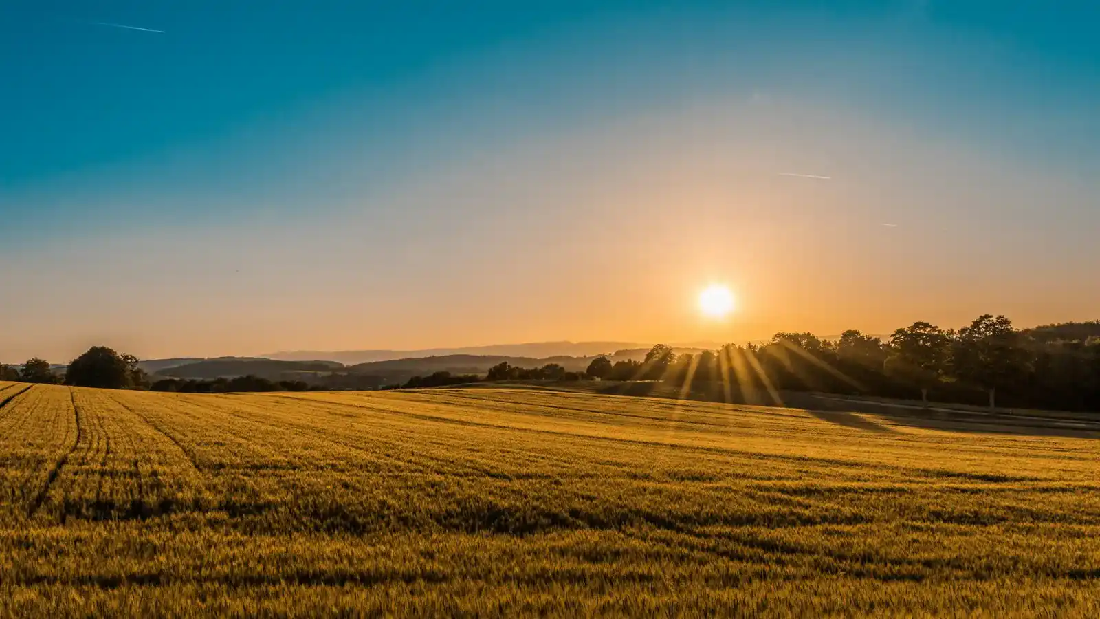 Paisaje agrícola sustentable con prácticas de bajo impacto ambiental