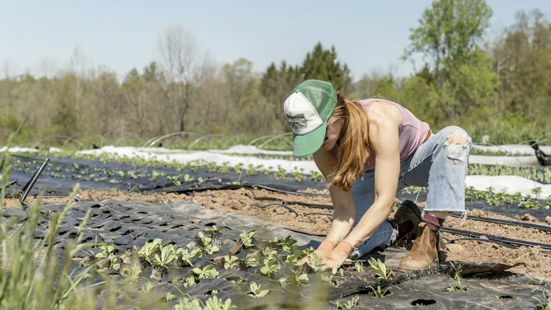 Silos agrícolas modernos para acopio y almacenamiento de granos