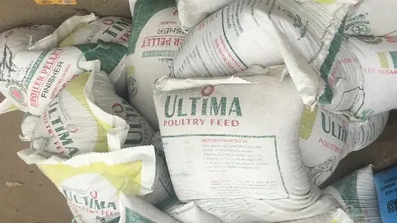 Bolsas y sacos de granos estibados para carga y exportación